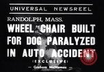 Image paralysé chien Randolph Massachusetts USA, 1938, de la seconde 6 séquences d'archives historiques vidéo 65675033914