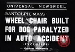 Image paralysé chien Randolph Massachusetts USA, 1938, de la seconde 7 séquences d'archives historiques vidéo 65675033914