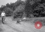 Image paralysé chien Randolph Massachusetts USA, 1938, de la seconde 22 séquences d'archives historiques vidéo 65675033914