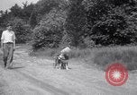 Image paralysé chien Randolph Massachusetts USA, 1938, de la seconde 23 séquences d'archives historiques vidéo 65675033914