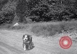 Image paralysé chien Randolph Massachusetts USA, 1938, de la seconde 27 séquences d'archives historiques vidéo 65675033914