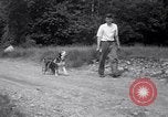 Image paralysé chien Randolph Massachusetts USA, 1938, de la seconde 30 séquences d'archives historiques vidéo 65675033914