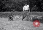 Image paralysé chien Randolph Massachusetts USA, 1938, de la seconde 31 séquences d'archives historiques vidéo 65675033914