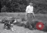 Image paralysé chien Randolph Massachusetts USA, 1938, de la seconde 33 séquences d'archives historiques vidéo 65675033914