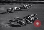 Image of Stars and Stripes Handicap race Chicago Illinois USA, 1938, second 19 stock footage video 65675033919
