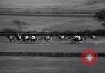 Image of Stars and Stripes Handicap race Chicago Illinois USA, 1938, second 27 stock footage video 65675033919