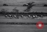 Image of Stars and Stripes Handicap race Chicago Illinois USA, 1938, second 29 stock footage video 65675033919