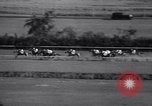Image of Stars and Stripes Handicap race Chicago Illinois USA, 1938, second 31 stock footage video 65675033919