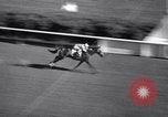 Image of Stars and Stripes Handicap race Chicago Illinois USA, 1938, second 61 stock footage video 65675033919