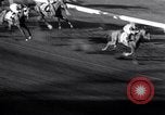 Standbild Hollywood Gold Cup Inglewood California USA, 1938, aus Sekunde 32 historischem Filmmaterial Videoclip 65675033921