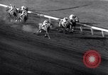 Standbild Hollywood Gold Cup Inglewood California USA, 1938, aus Sekunde 61 historischem Filmmaterial Videoclip 65675033921