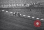 Standbild Pferderennen mit Seabiscuit und Ligaroti Del Mar California USA, 1938, aus Sekunde 48 historischem Filmmaterial Videoclip 65675033924