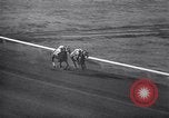 Standbild Pferderennen mit Seabiscuit und Ligaroti Del Mar California USA, 1938, aus Sekunde 51 historischem Filmmaterial Videoclip 65675033924