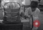 Image Soap Box Derby Akron Ohio USA, 1938, de la seconde 12 séquences d'archives historiques vidéo 65675033926