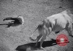 Standbild Der 2 jährlichen Rodeo Sun Valley Idaho USA, 1938, aus Sekunde 37 historischem Filmmaterial Videoclip 65675033928