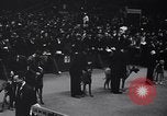 Image of dog show New York United States USA, 1939, second 11 stock footage video 65675033931