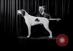 Image of dog show New York United States USA, 1939, second 16 stock footage video 65675033931