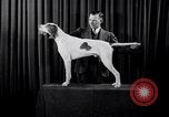 Image of dog show New York United States USA, 1939, second 17 stock footage video 65675033931