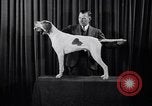 Image of dog show New York United States USA, 1939, second 18 stock footage video 65675033931