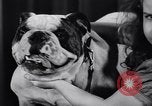 Image of dog show New York United States USA, 1939, second 33 stock footage video 65675033931