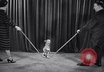 Image of dog show New York United States USA, 1939, second 36 stock footage video 65675033931