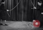Image of dog show New York United States USA, 1939, second 54 stock footage video 65675033931