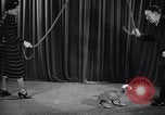 Image of dog show New York United States USA, 1939, second 55 stock footage video 65675033931