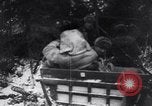 Image of Russo-Finnish War Finland, 1940, second 48 stock footage video 65675033939