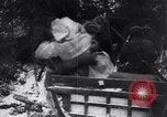 Image of Russo-Finnish War Finland, 1940, second 49 stock footage video 65675033939