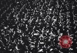 Image of college basketball game New York City USA, 1940, second 12 stock footage video 65675033945