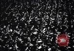 Image of college basketball game New York City USA, 1940, second 39 stock footage video 65675033945