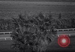 Image of Santa Anita Race Arcadia California USA, 1940, second 17 stock footage video 65675033947
