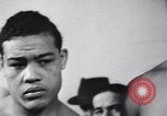 Image of Arturo Godoy with Joe Louis New York City USA, 1940, second 22 stock footage video 65675033948