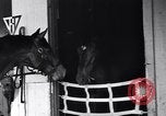 Standbild Seabiscuit California United States USA, 1940, aus Sekunde 3 historischem Filmmaterial Videoclip 65675033957
