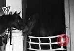 Standbild Seabiscuit California United States USA, 1940, aus Sekunde 6 historischem Filmmaterial Videoclip 65675033957