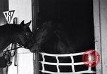 Standbild Seabiscuit California United States USA, 1940, aus Sekunde 7 historischem Filmmaterial Videoclip 65675033957