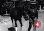 Standbild Seabiscuit California United States USA, 1940, aus Sekunde 8 historischem Filmmaterial Videoclip 65675033957
