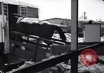 Standbild Seabiscuit California United States USA, 1940, aus Sekunde 10 historischem Filmmaterial Videoclip 65675033957