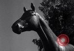 Image Seabiscuit  Statut Acadia California USA, 1941, de la seconde 13 séquences d'archives historiques vidéo 65675033962