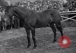 Image Seabiscuit  Statut Acadia California USA, 1941, de la seconde 15 séquences d'archives historiques vidéo 65675033962