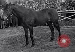 Image Seabiscuit  Statut Acadia California USA, 1941, de la seconde 16 séquences d'archives historiques vidéo 65675033962