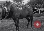 Image Seabiscuit  Statut Acadia California USA, 1941, de la seconde 22 séquences d'archives historiques vidéo 65675033962