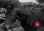 Image Seabiscuit  Statut Acadia California USA, 1941, de la seconde 24 séquences d'archives historiques vidéo 65675033962