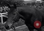Image Seabiscuit  Statut Acadia California USA, 1941, de la seconde 25 séquences d'archives historiques vidéo 65675033962