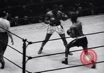 Image match de boxe amateur New York City USA, 1938, de la seconde 17 séquences d'archives historiques vidéo 65675033966