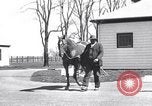 Standbild Man O War Lexington Kentucky USA, 1938, aus Sekunde 4 historischem Filmmaterial Videoclip 65675033970