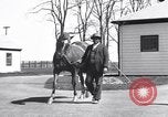 Standbild Man O War Lexington Kentucky USA, 1938, aus Sekunde 5 historischem Filmmaterial Videoclip 65675033970