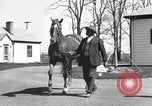 Standbild Man O War Lexington Kentucky USA, 1938, aus Sekunde 6 historischem Filmmaterial Videoclip 65675033970