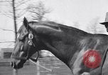 Standbild Man O War Lexington Kentucky USA, 1938, aus Sekunde 9 historischem Filmmaterial Videoclip 65675033970
