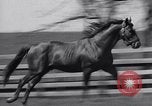 Standbild Man O War Lexington Kentucky USA, 1938, aus Sekunde 11 historischem Filmmaterial Videoclip 65675033970
